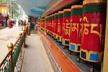 Amritsar Dharamshala Mcleodganj Tour